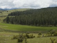 F, Lozere, Florac, Causse de Mejean 7, Saxifraga-Marijke Verhagen