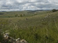 F, Lozere, Florac, Causse de Mejean 8, Saxifraga-Marijke Verhagen