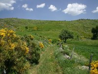 F, Lozere, Fraissinet-de-Fourques 3, Saxifraga-Dirk Hilbers