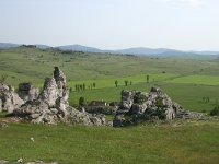 F, Lozere, Fraissinet-de-Fourques, Nimes-le-Vieux 3, Saxifraga-Dirk Hilbers