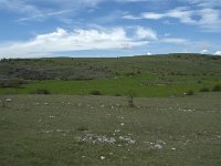 F, Lozere, Gatuzieres, Aures 1, Saxifraga-Willem van Kruijsbergen