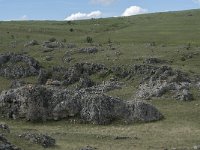 F, Lozere, Gatuzieres, Aures 14, Saxifraga-Willem van Kruijsbergen