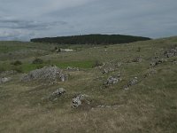 F, Lozere, Gatuzieres, Aures 16, Saxifraga-Willem van Kruijsbergen