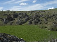 F, Lozere, Gatuzieres, Aures 22, Saxifraga-Willem van Kruijsbergen