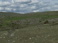 F, Lozere, Gatuzieres, Aures 27, Saxifraga-Willem van Kruijsbergen