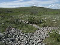 F, Lozere, Gatuzieres, Aures 28, Saxifraga-Willem van Kruijsbergen