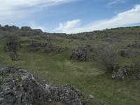 F, Lozere, Gatuzieres, Aures 7, Saxifraga-Willem van Kruijsbergen