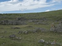 F, Lozere, Gatuzieres, Aures 8, Saxifraga-Willem van Kruijsbergen