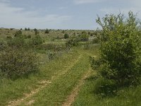 F, Lozere, Hures-la-Parade 22, Saxifraga-Jan van der Straaten