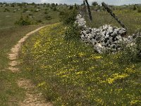 F, Lozere, Hures-la-Parade 3, Saxifraga-Jan van der Straaten