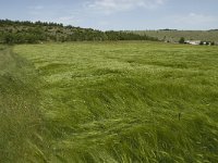 F, Lozere, Hures-la-Parade 30, Saxifraga-Jan van der Straaten