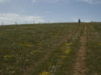 F, Lozere, Hures-la-Parade 4, Saxifraga-Marijke Verhagen