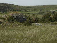 F, Lozere, Hures-la-Parade 49, Saxifraga-Marijke Verhagen