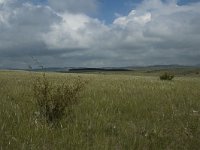 F, Lozere, Hures-la-Parade 7, Saxifraga-Jan van der Straaten