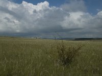 F, Lozere, Hures-la-Parade 8, Saxifraga-Jan van der Straaten