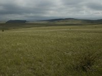 F, Lozere, Hures-la-Parade 9, Saxifraga-Jan van der Straaten