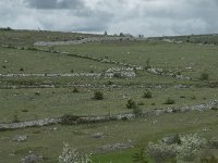 F, Lozere, Hures-la-Parade, Hures 3, Saxifraga-Willem van Kruijsbergen