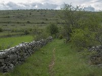 F, Lozere, Hures-la-Parade, Nivoliers 11, Saxifraga-Willem van Kruijsbergen