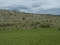 F, Lozere, Hures-la-Parade, Nivoliers 21, Saxifraga-Willem van Kruijsbergen