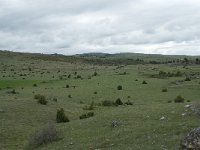 F, Lozere, Hures-la-Parade, Nivoliers 28, Saxifraga-Willem van Kruijsbergen