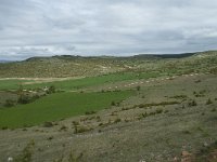 F, Lozere, Hures-la-Parade, Nivoliers 32, Saxifraga-Willem van Kruijsbergen