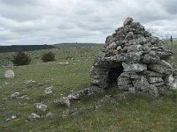 F, Lozere, Hures-la-Parade, Nivoliers 36, Saxifraga-Willem van Kruijsbergen