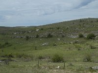 F, Lozere, Hures-la-Parade, le Villaret 1, Saxifraga-Willem van Kruijsbergen