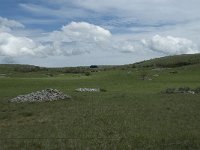 F, Lozere, Hures-la-Parade, le Villaret 10, Saxifraga-Willem van Kruijsbergen