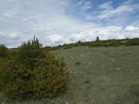 F, Lozere, Hures-la-Parade, le Villaret 11, Saxifraga-Willem van Kruijsbergen