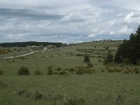 F, Lozere, Hures-la-Parade, le Villaret 8, Saxifraga-Willem van Kruijsbergen