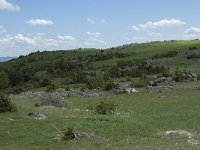 F, Lozere, Le Pompidou, l' Hospitalet 49, Saxifraga-Willem van Kruijsbergen