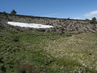 F, Lozere, Le Pont-de-Montvert, Col de Finiels 22, Saxifraga-Willem van Kruijsbergen