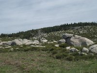 F, Lozere, Le Pont-de-Montvert, Finiels 14, Saxifraga-Willem van Kruijsbergen