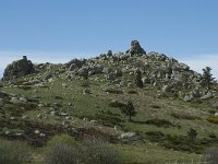 F, Lozere, Le Pont-de-Montvert, Finiels 17, Saxifraga-Willem van Kruijsbergen