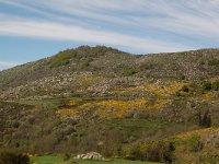 F, Lozere, Le Pont-de-Montvert, Finiels 30, Saxifraga-Annemiek Bouwman