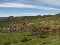 F, Lozere, Le Pont-de-Montvert, Finiels 31, Saxifraga-Annemiek Bouwman