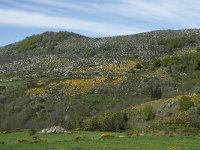 F, Lozere, Le Pont-de-Montvert, Finiels 9, Saxifraga-Willem van Kruijsbergen