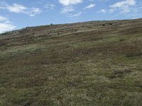 F, Lozere, Le Pont-de-Montvert, Sommet de Finiels 21, Saxifraga-Willem van Kruijsbergen