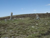 F, Lozere, Le Pont-de-Montvert, Sommet de Finiels 34, Saxifraga-Willem van Kruijsbergen