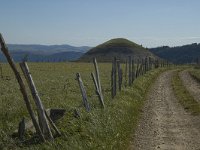 F, Lozere, Les Bondons 28, Saxifraga-Marijke Verhagen