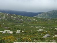 F, Lozere, Pont-de-Montvert, Mont Lozere 4, Saxifraga-Dirk Hilbers