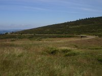 F, Lozere, Pont-de-Montvert, Mont Lozere 42,  Saxifraga-Dirk Hilbers