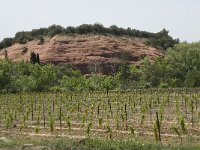 F, Vaucluse, Bedoin, les Baux 7, Saxifraga-Willem van Kruijsbergen