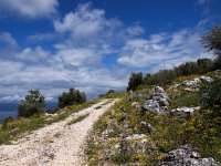 GR, Corfu, Loutses, Paleo Perithia 13, Saxifraga-Hans Dekker