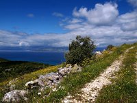 GR, Corfu, Loutses, Paleo Perithia 18, Saxifraga-Hans Dekker