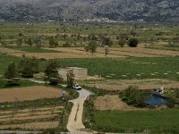 GR, Crete, Lasithi, Agios Georgios 10, Saxifraga-Jan van der Straaten