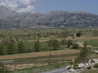 GR, Crete, Lasithi, Lasithi Plain 6, Saxifraga-Willem van Kruijsbergen