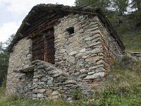 I, Sondrio, Chiesa Valmalenco, Alpe dell Oro 1, Saxifraga-Willem van Kruijsbergen