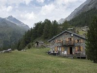 I, Sondrio, Chiesa Valmalenco, Alpe dell Oro 8, Saxifraga-Willem van Kruijsbergen