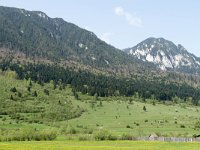 RO, Brasov, Zarnesti, W of Zarnesti 1, Saxifraga-Tom Heijnen